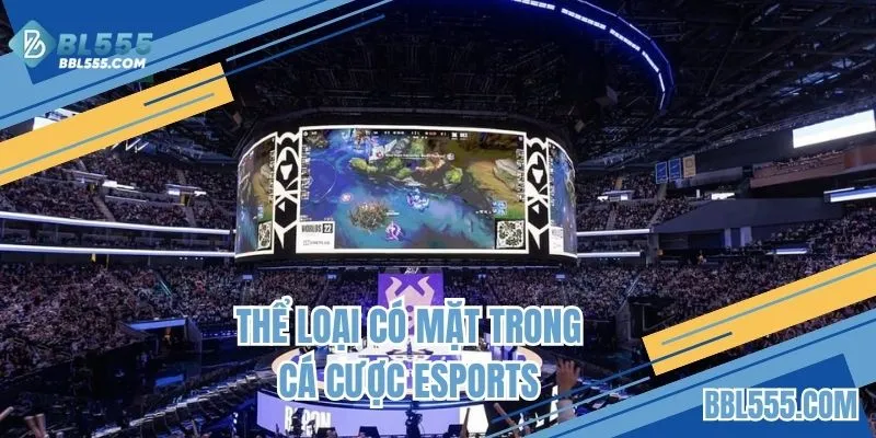 Hướng dẫn cá cược Esports - Tìm hiểu thể loại thi đấu