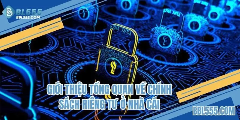 Giới thiệu tổng quan về chính sách riêng tư ở nhà cái