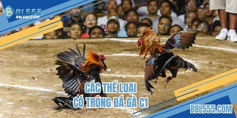 Giới thiệu thể loại được nhiều người tham gia nhất